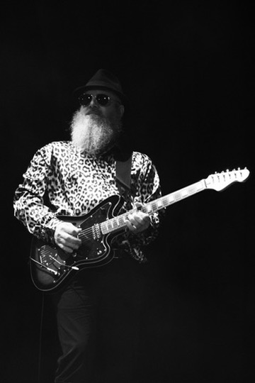 Other Lies Guitarist
