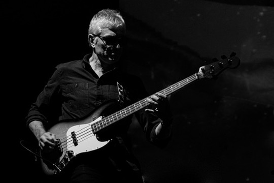 Other Lies Bassist